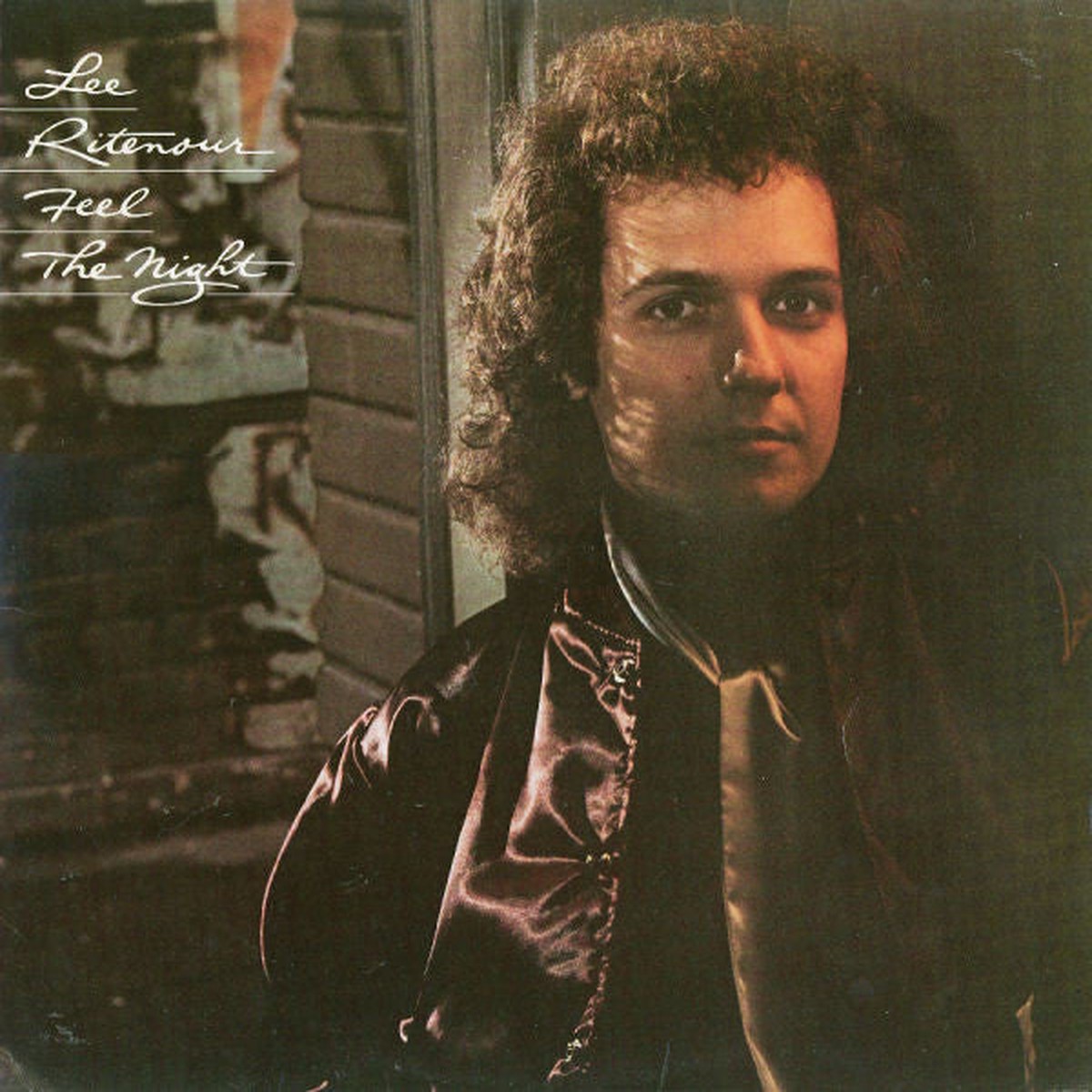 Ritenour, Lee - Feel The Night (Vinyl, VG+)