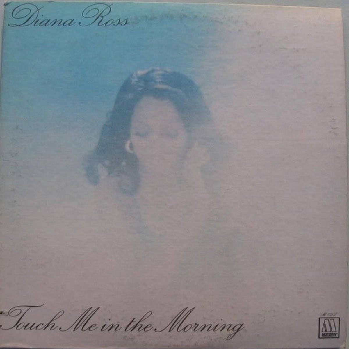 Ross, Diana - Touch Me In The Morning (Vinyl, VG)
