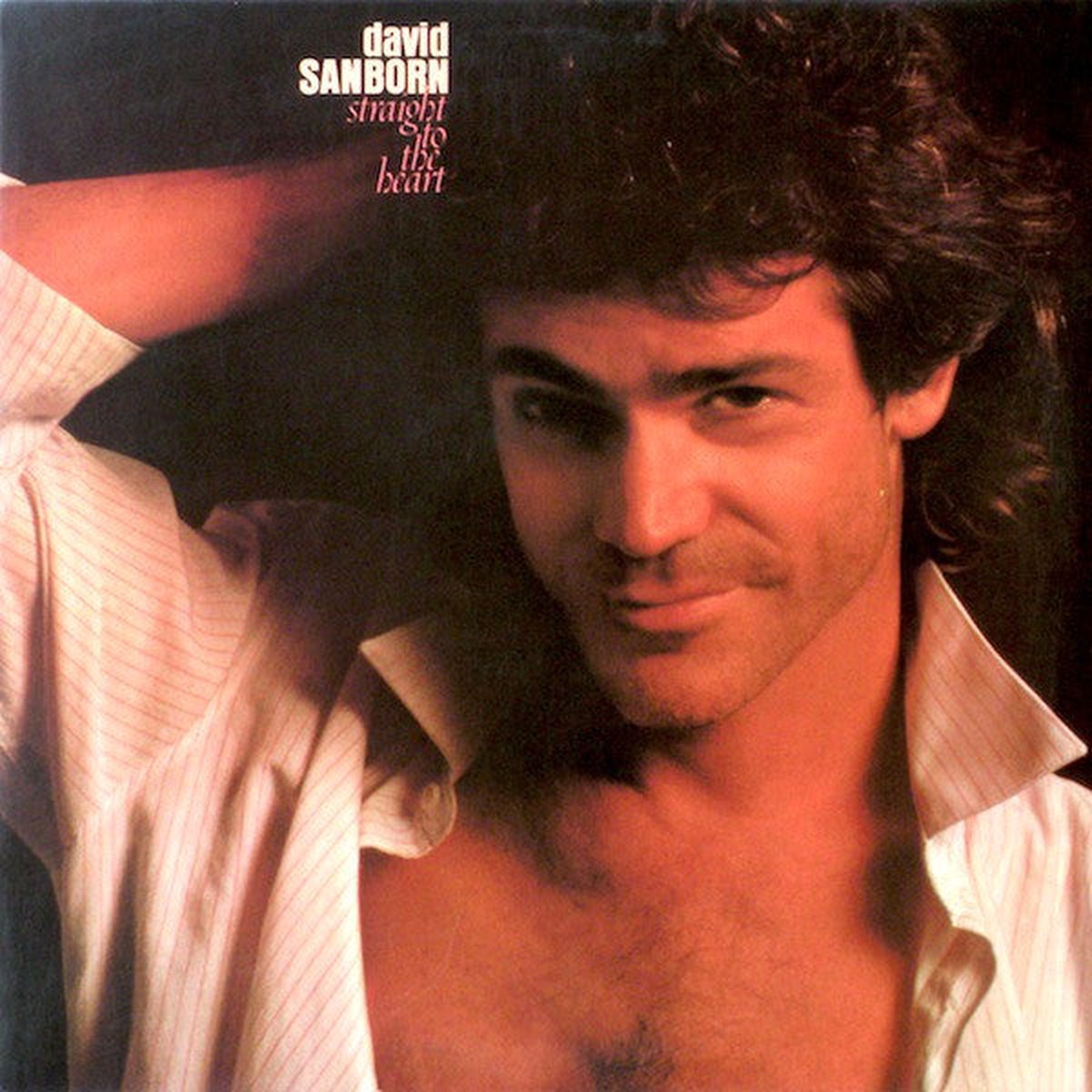 Sanborn, David - Straight To The Heart (Vinyl, VG+)