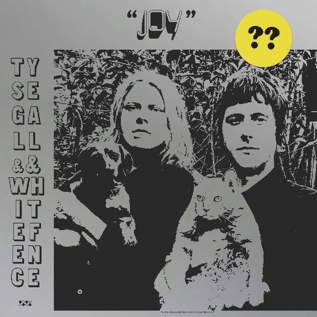 Segall, Ty and White Fence - Joy