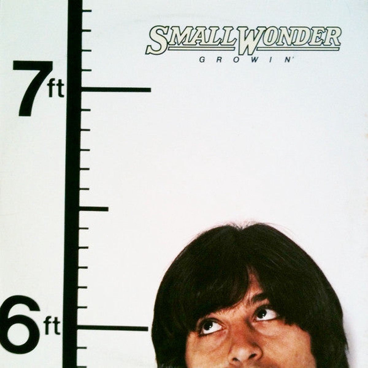 Small Wonder - Growin' (Vinyl, VG+)