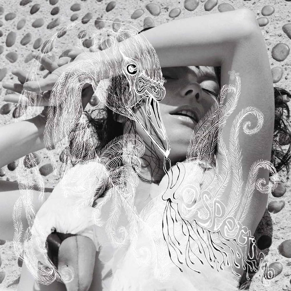 Bjork - Verspertine