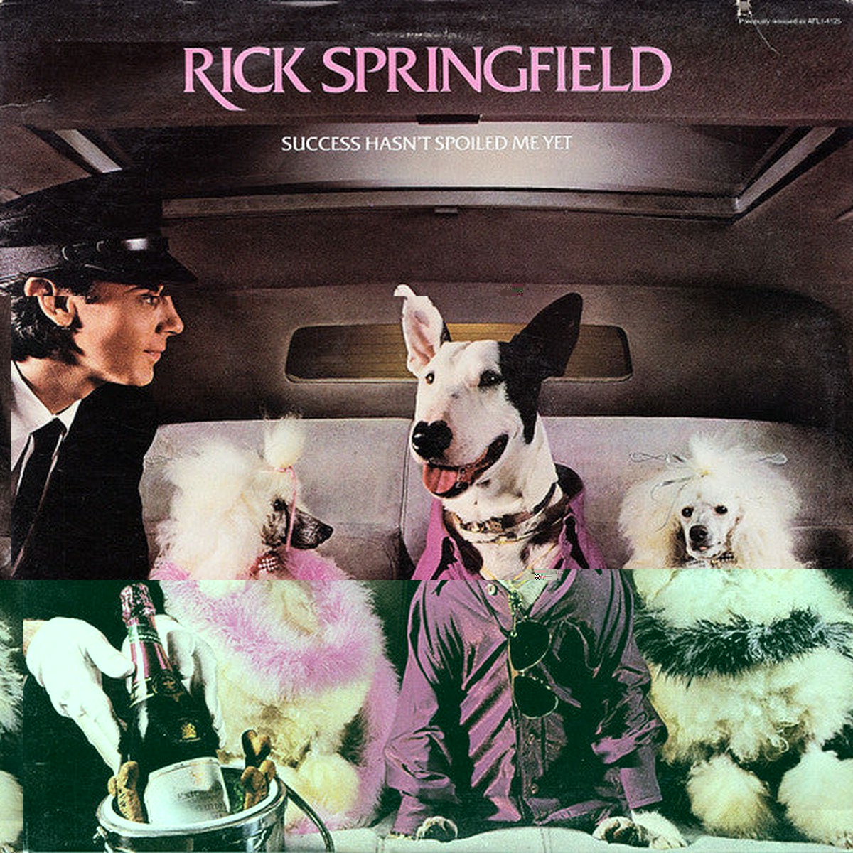 Springfield, Rick - Success Hasn't Spoiled Me Yet (Vinyl, VG)