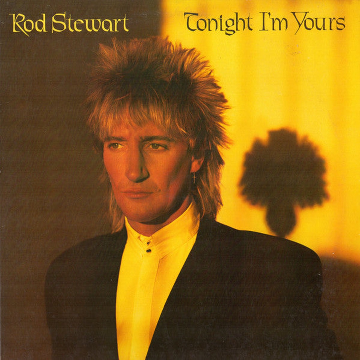 Stewart, Rod - Tonight I'm Yours (Vinyl, VG)