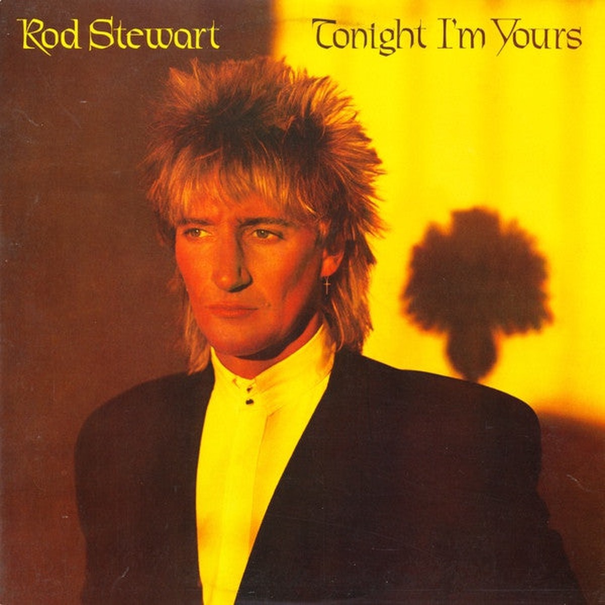 Stewart, Rod - Tonight I'm Yours (Vinyl, VG+)
