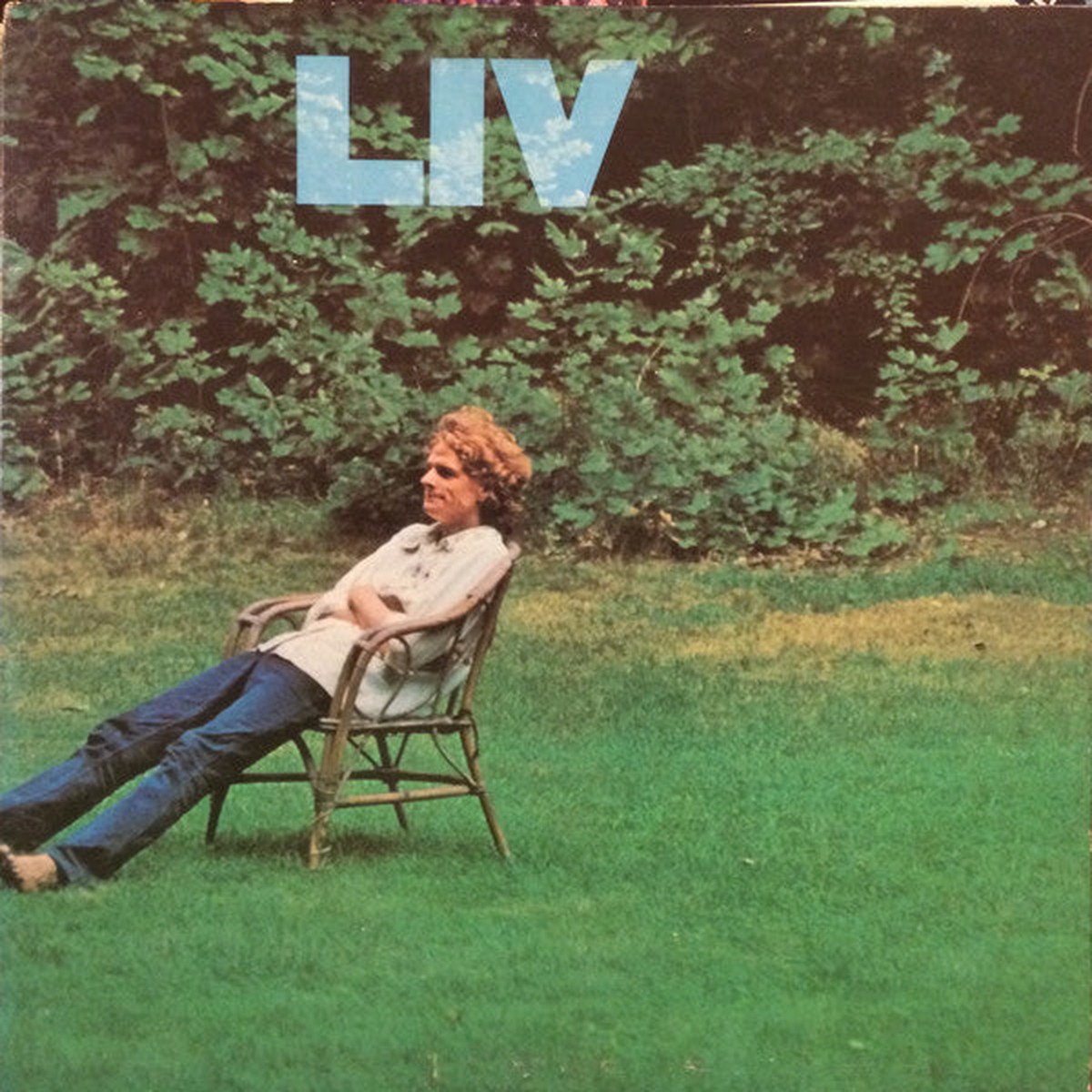 Taylor, Livingston - Liv (Vinyl, VG+)