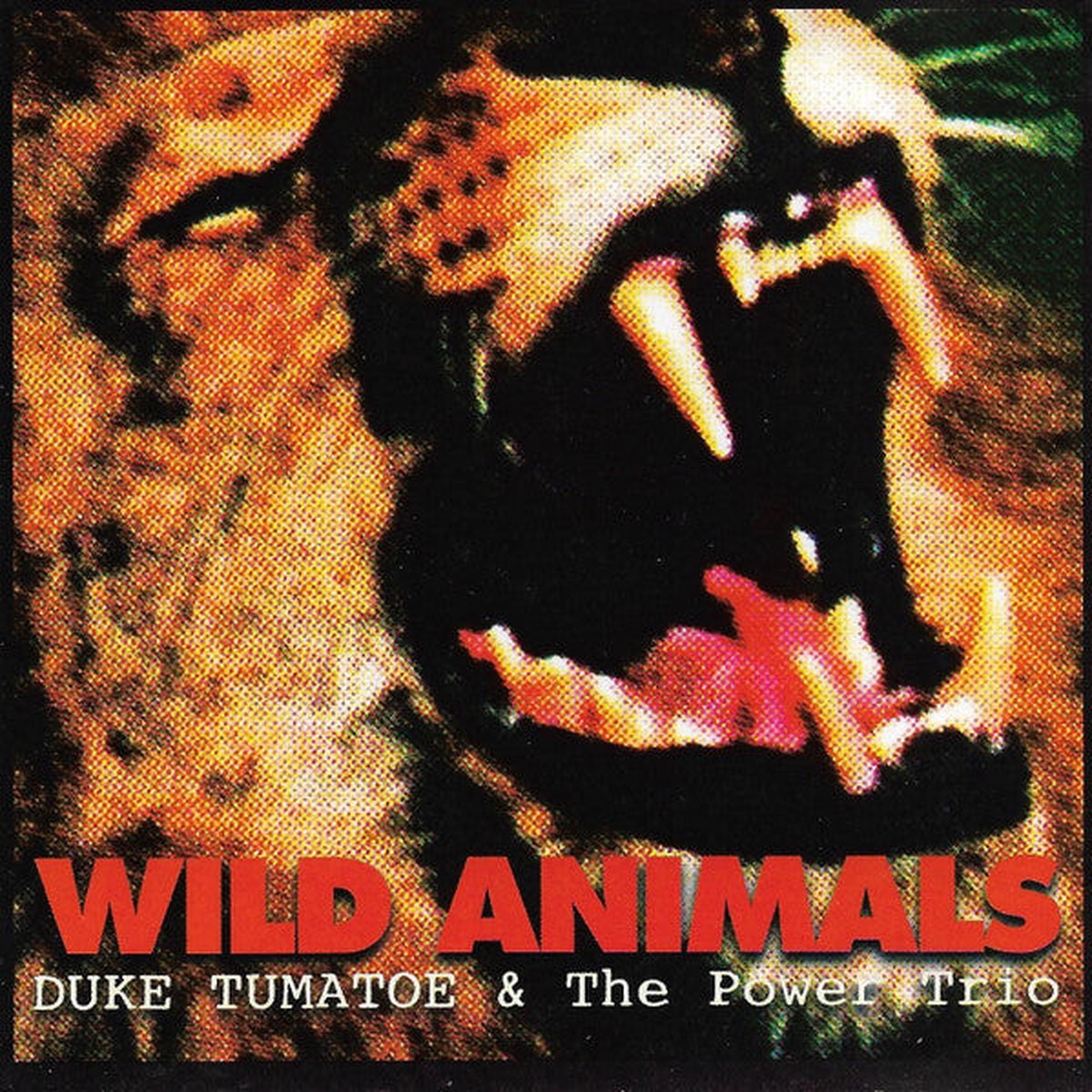 Tumatoe, Duke And The Power Trio - Wild Animals (CD, VG+)