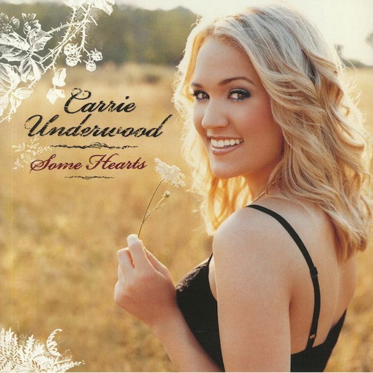 Underwood, Carrie - Some Hearts (Vinyl, M)