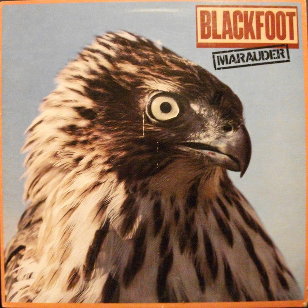 Blackfoot - Marauder (Vinyl, VG+)