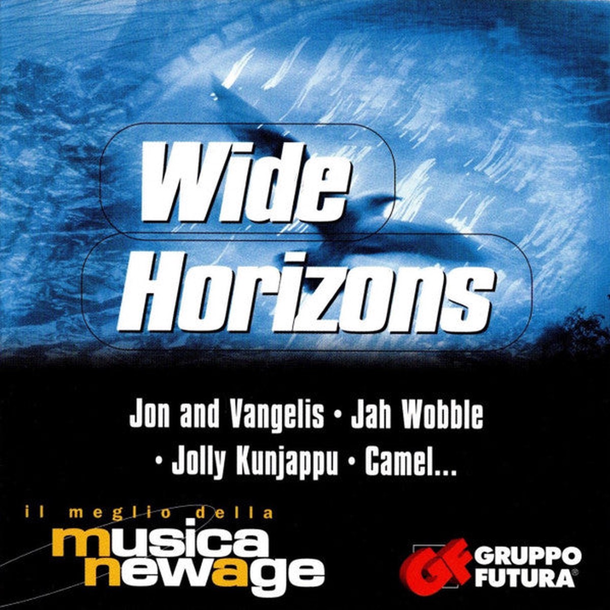 Various - Wide Horizons (CD, VG)