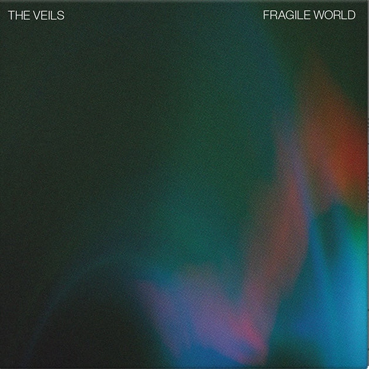 Veils - Fragile World