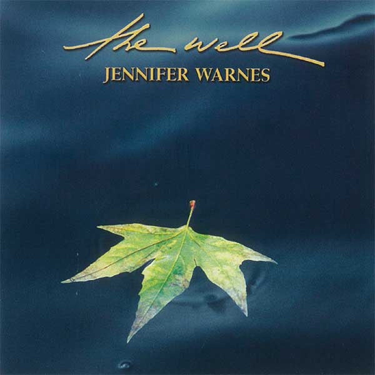 Warnes, Jennifer - The Well (CD, M)