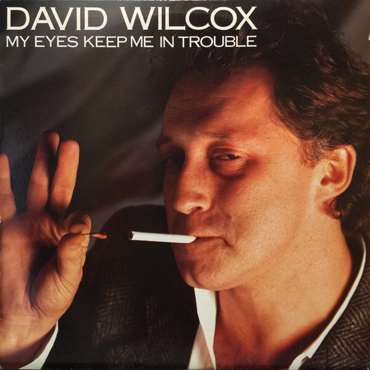 Wilcox, David - My Eyes Keep Me In Trouble (Vinyl, VG+)