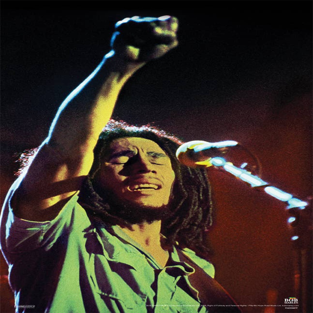 Bob Marley One World Poster - 11" x 17"