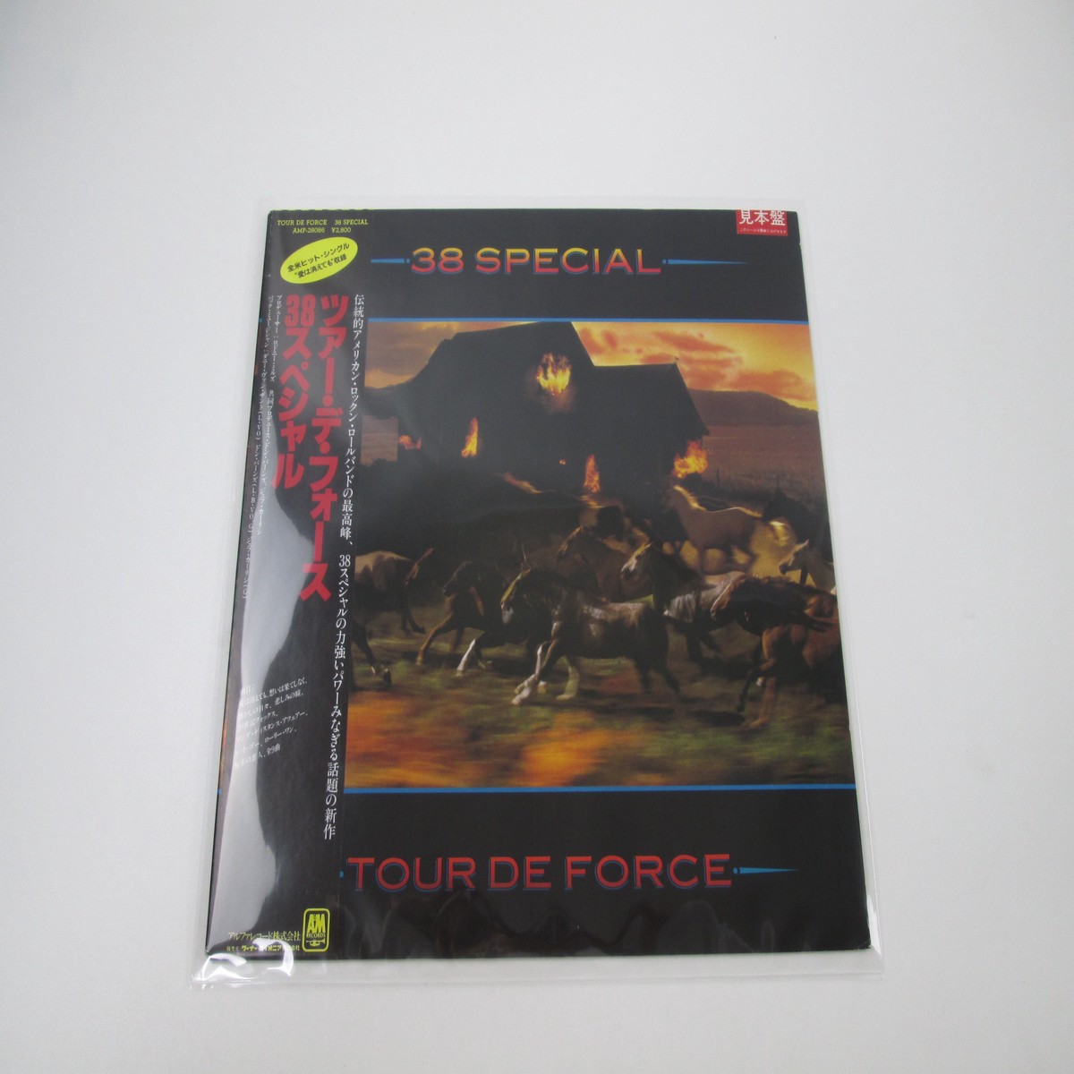 38 Special Tour De Force Promo AMP-28086 with OBI Japan VINYL LP