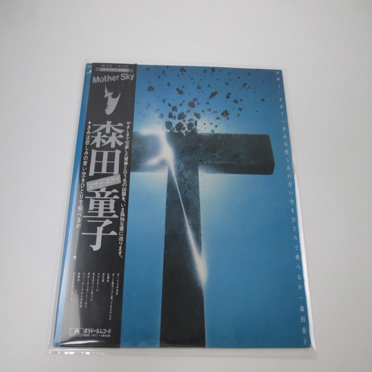 Doji Morita Mother Sky MR3030 with OBI Japan LP Vinyl