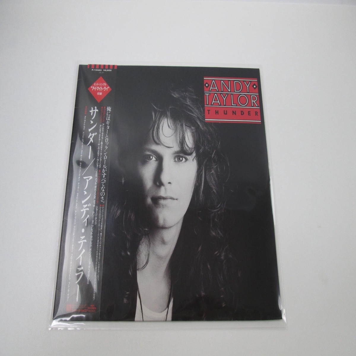 ANDY TAYLOR THUNDER MCA P-13423 with OBI Japan LP Vinyl