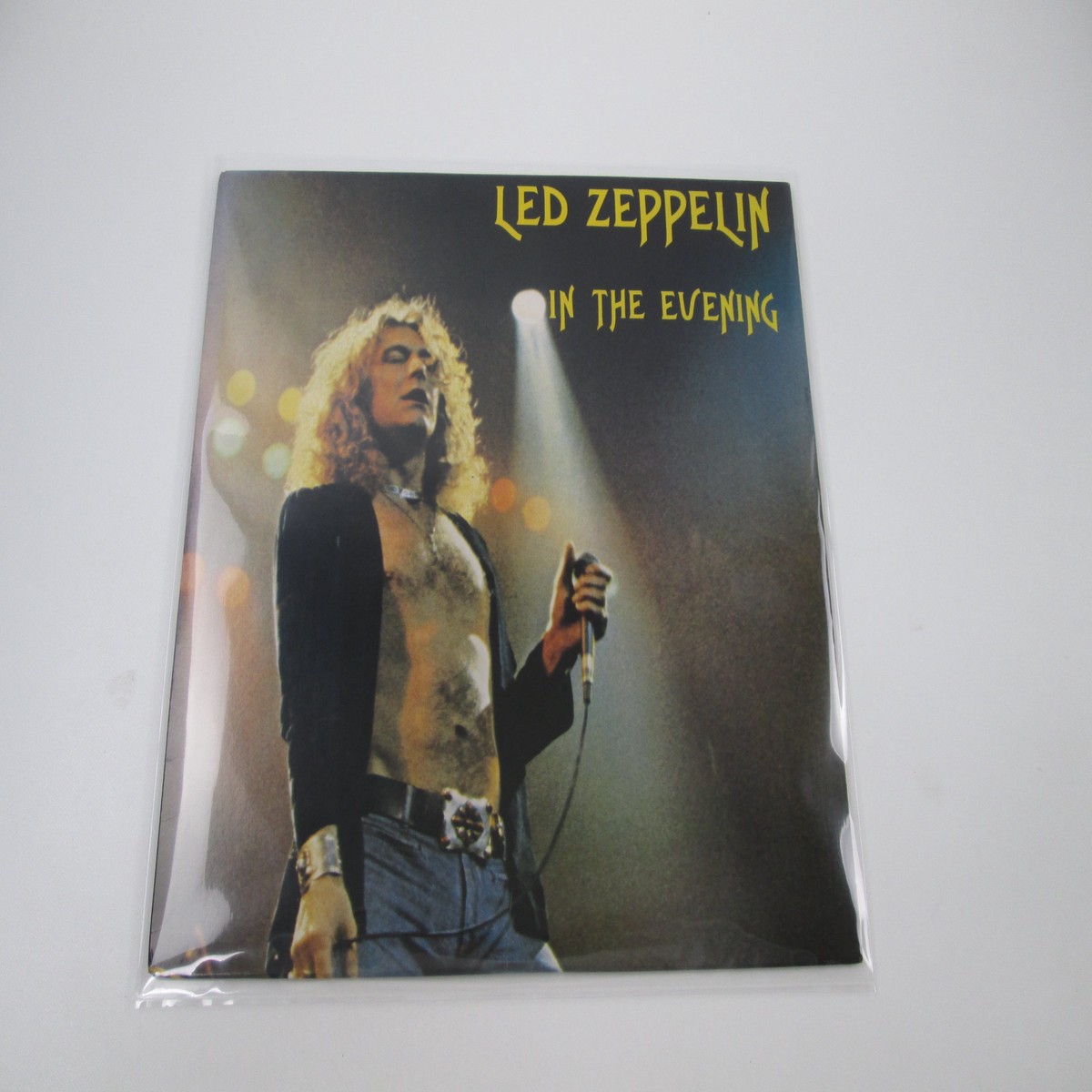 Led Zeppelin In The Evening LP Vinyl