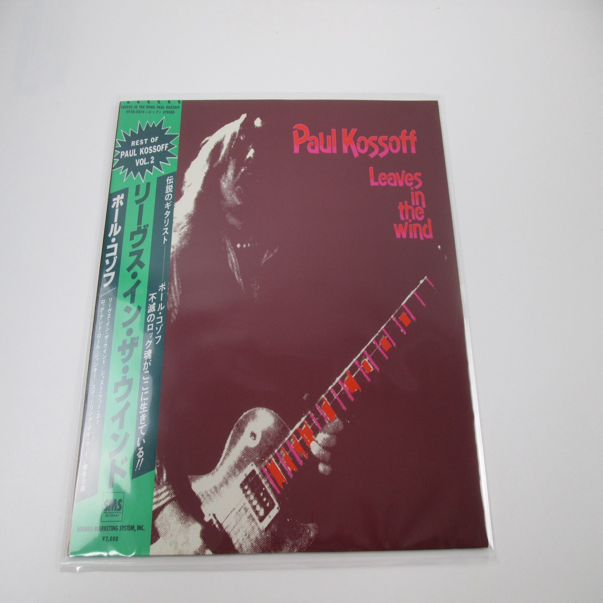 PAUL KOSSOFF LEA VES IN THE WIND SP20-5074 with OBI Japan LP Vinyl