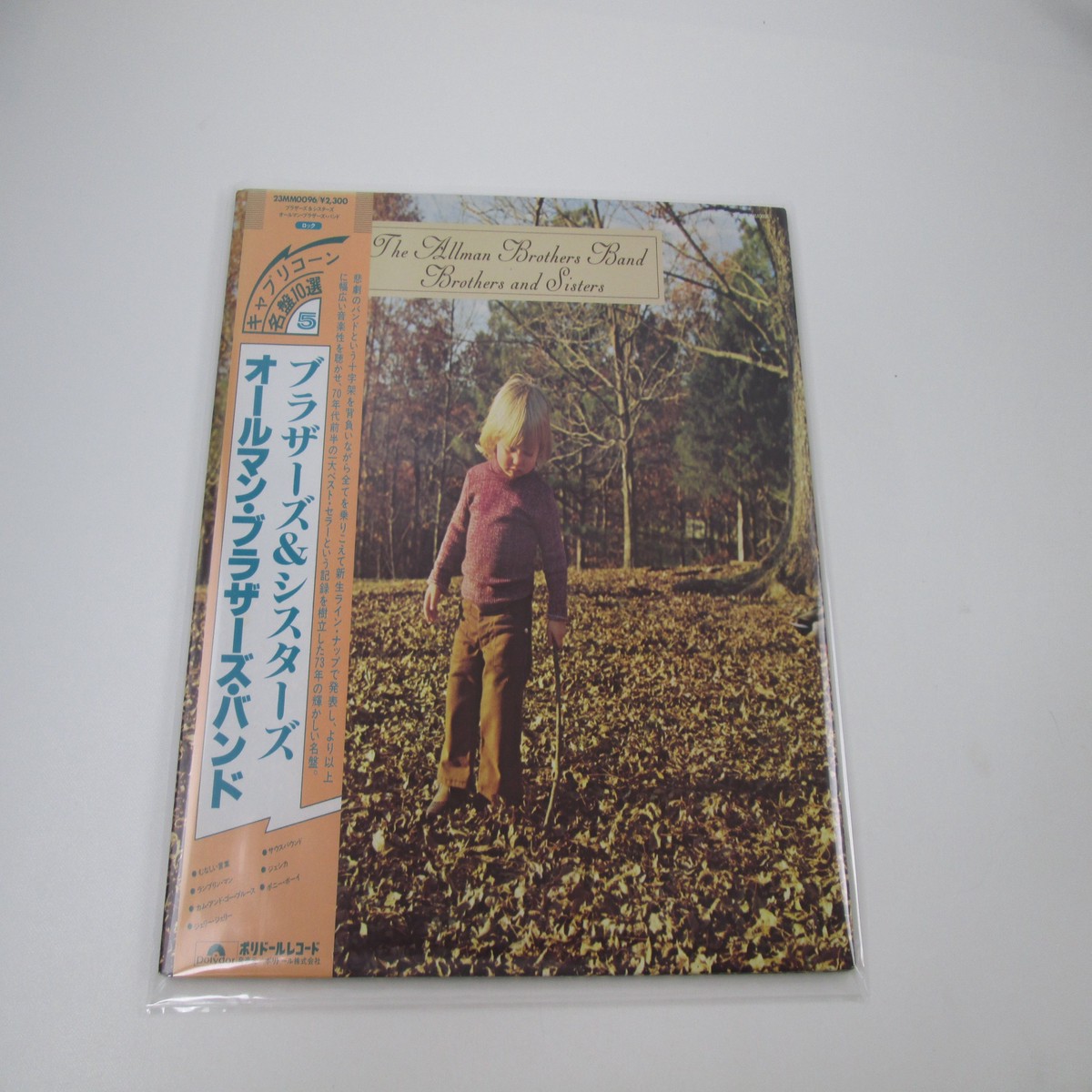 The Allman Brothers Band Brothers And Sisters 23MM 0096 with OBI Japan LP Vinyl