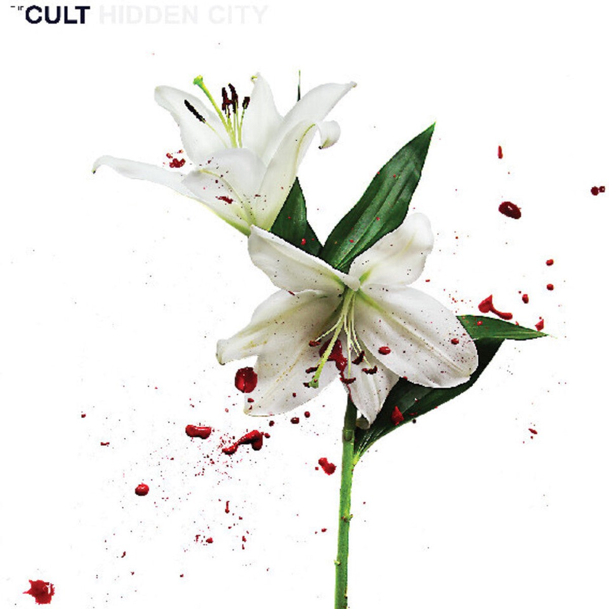 Cult - Hidden City (Audp) (Frpm) (Gate) (Numb)