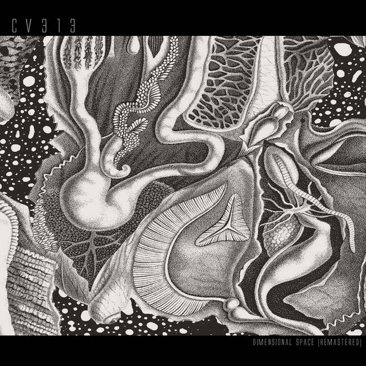 cv313 - dimensional space (remastered)