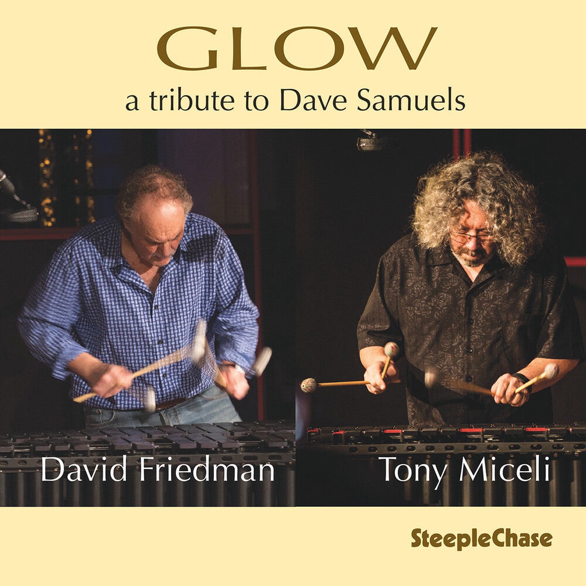 David Friedman - Glow