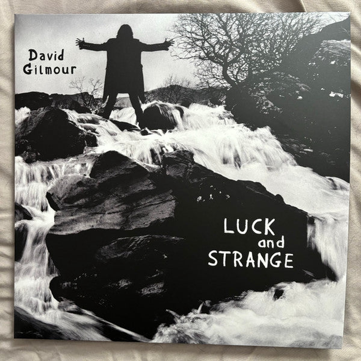 David Gilmour Luck And Strange LP