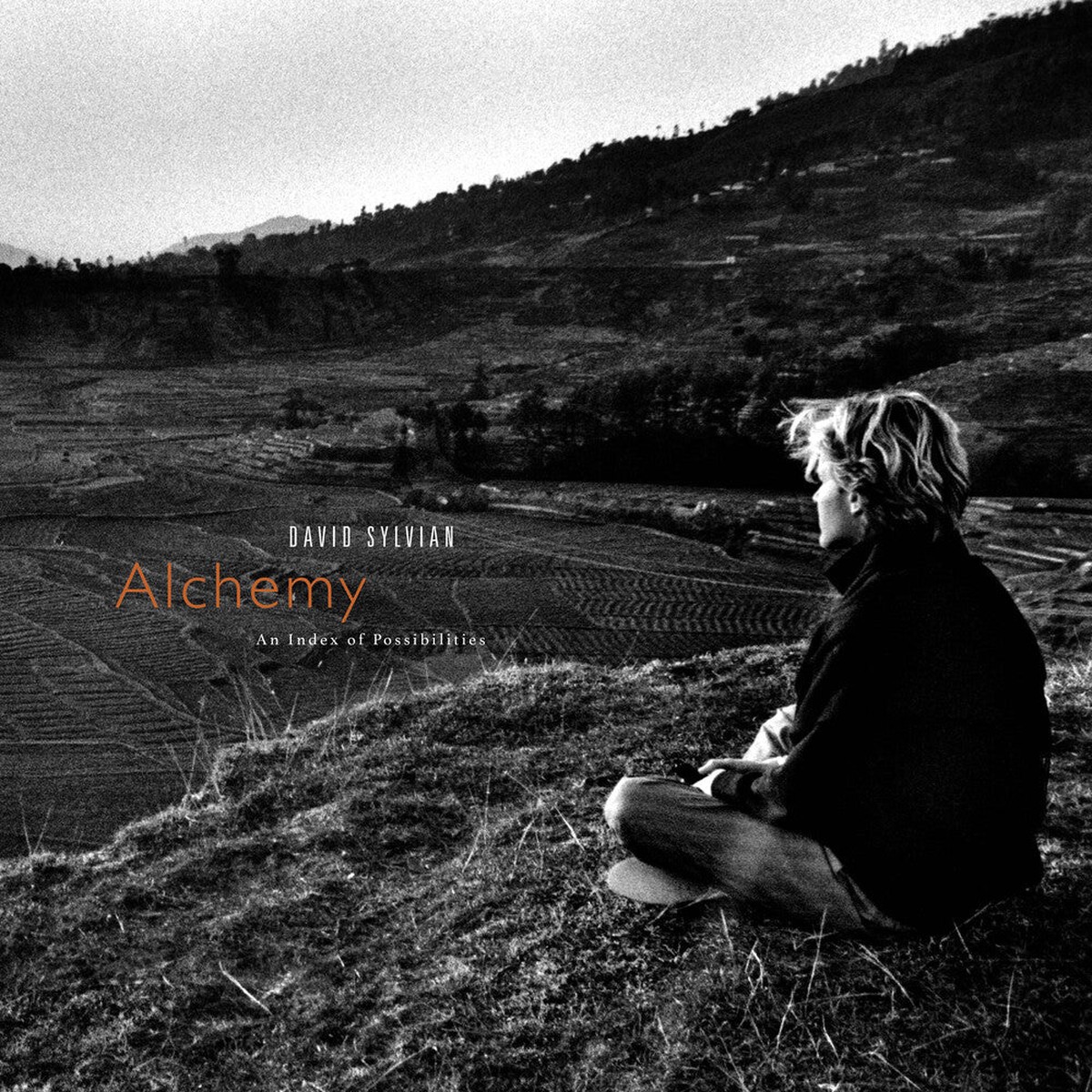 David Sylvian - Alchemy: An Index Of Possibilities - Gold Opaque