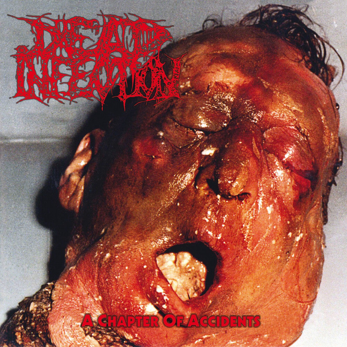 Dead Infection - Chapter of Accidents