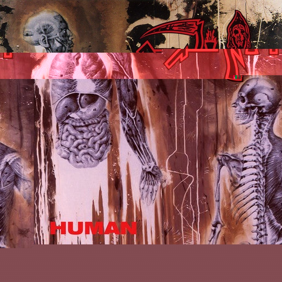 Death - Human
